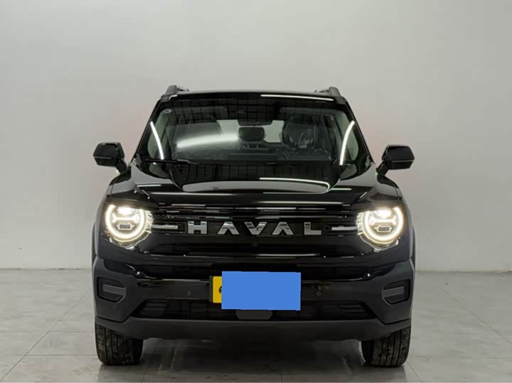 Фото 2 - Haval H-Dog Hybrid