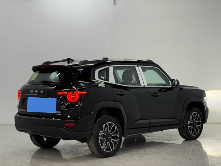 Фото 5 - Haval H-Dog Hybrid