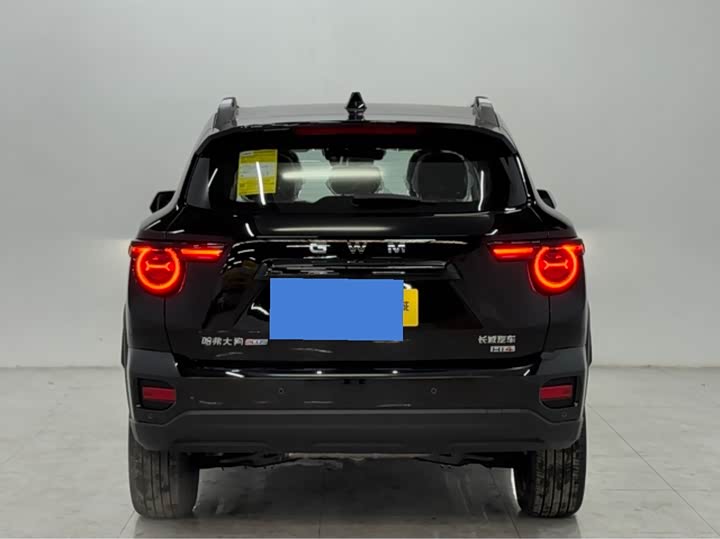 Фото 6 - Haval H-Dog Hybrid
