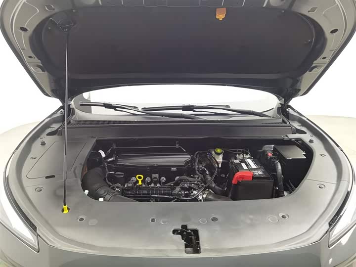 Фото 6 - Dongfeng Forthing T5 EVO