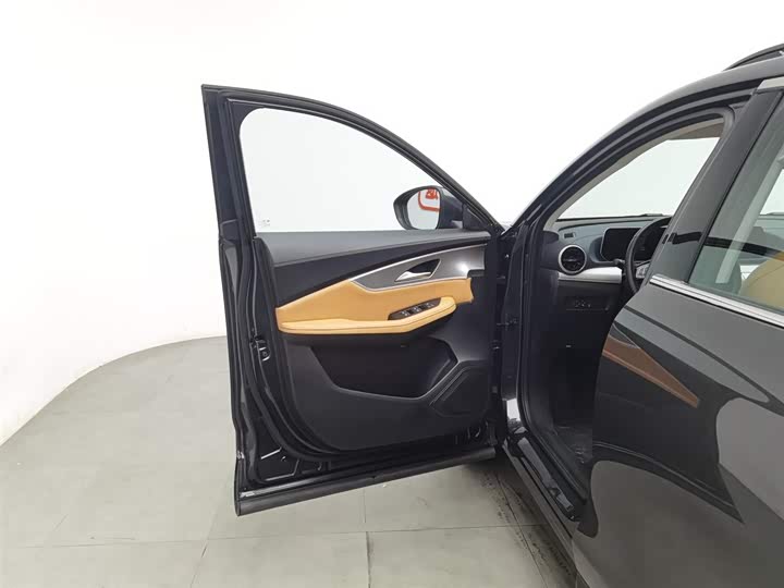 Фото 8 - Dongfeng Forthing T5 EVO