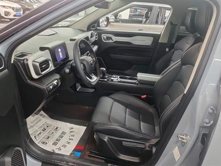 Фото 9 - Geely Icon