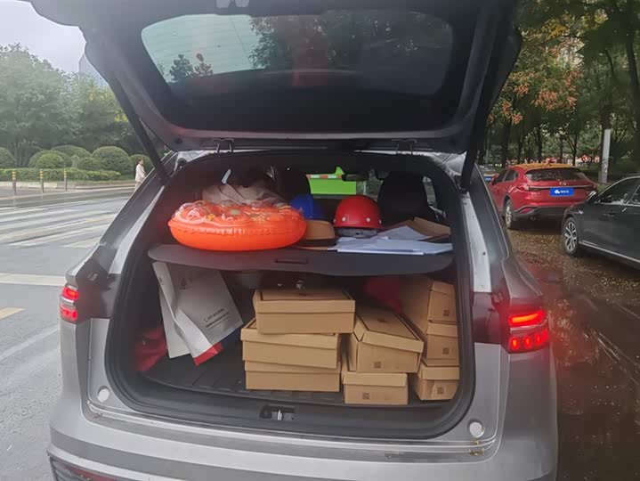 Фото 4 - Geely Monjaro