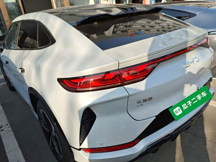 Фото 5 - BYD Song L