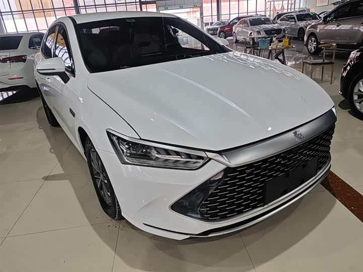 Фото 4 - BYD Qin Plus