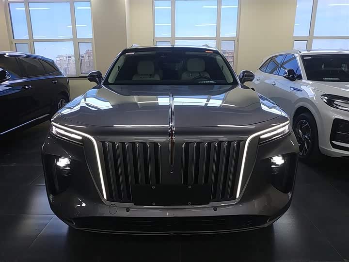 Фото 3 - Hongqi E-HS9