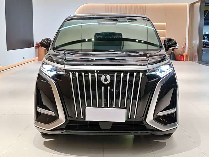 Фото 2 - Denza D9