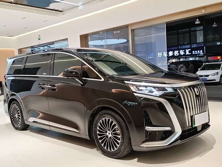 Фото 3 - Denza D9