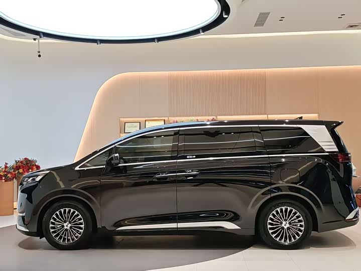 Фото 4 - Denza D9