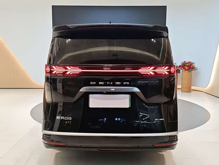 Фото 6 - Denza D9