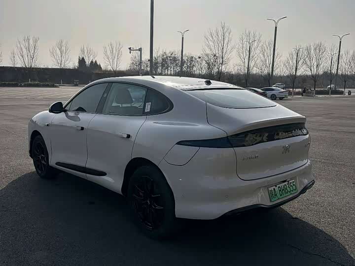 Фото 6 - IM motors LS6