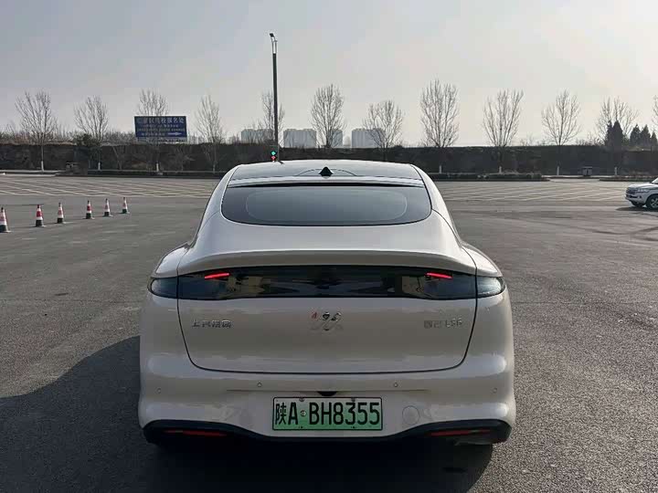 Фото 7 - IM motors LS6