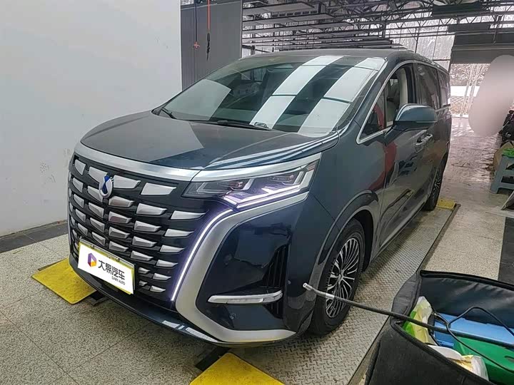 Фото 1 - Denza D9