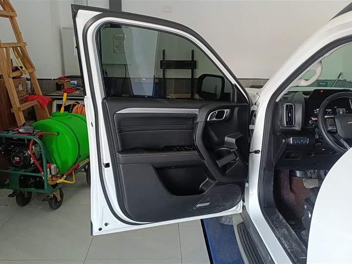 Фото 7 - Haval Dargo