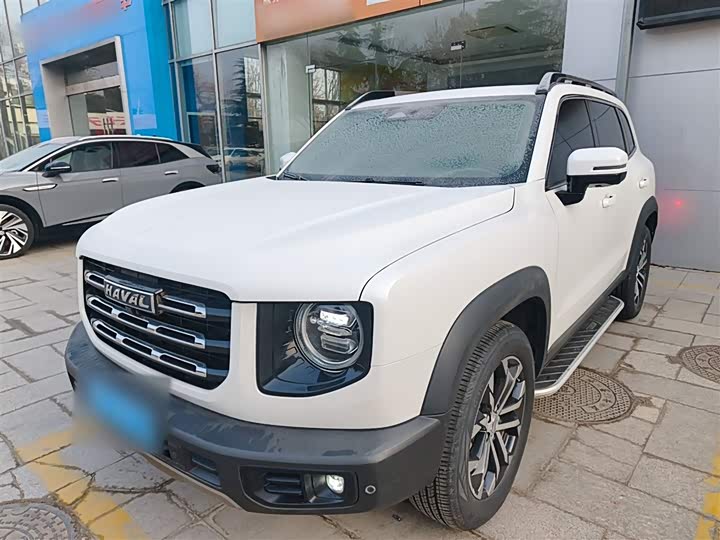 Фото 2 - Haval Dargo