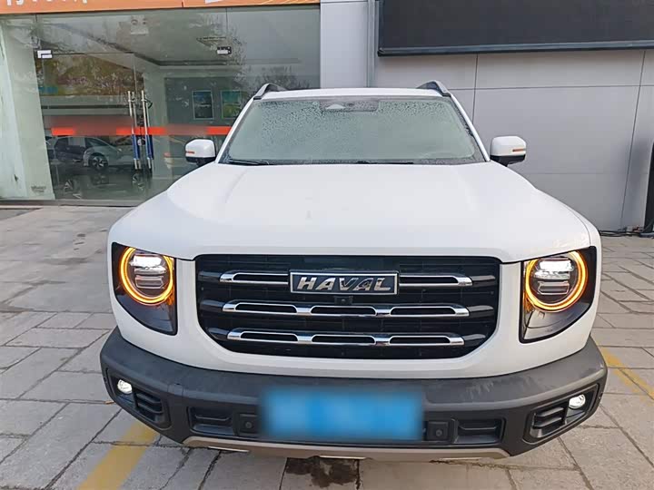 Фото 3 - Haval Dargo