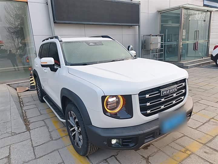 Фото 4 - Haval Dargo