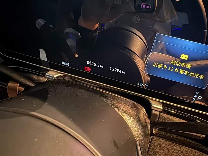 Фото 6 - Mercedes-Benz Maybach S-Class