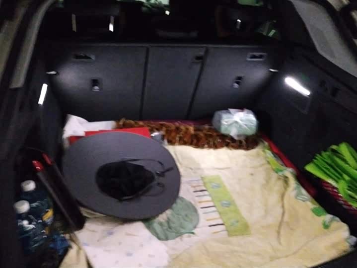 Фото 4 - Audi Q5L