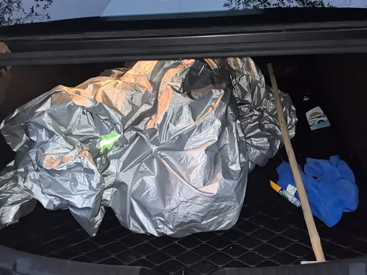 Фото 4 - Mazda 3 (Axela)