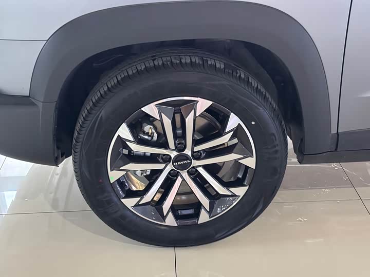 Фото 4 - Haval Dargo