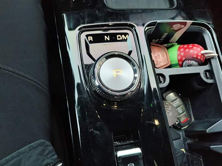 Фото 7 - Haval Dargo