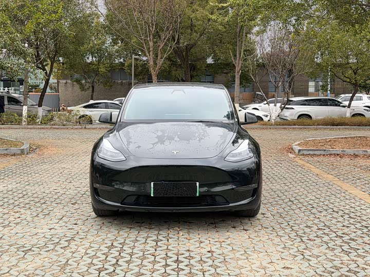 Фото 2 - Tesla Model Y