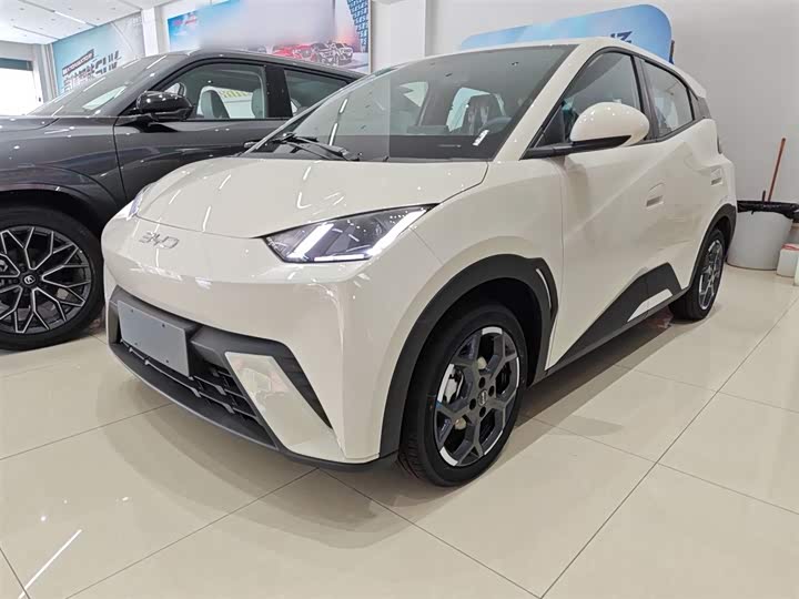 Фото 1 - BYD Seagull