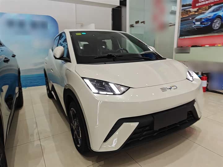 Фото 4 - BYD Seagull