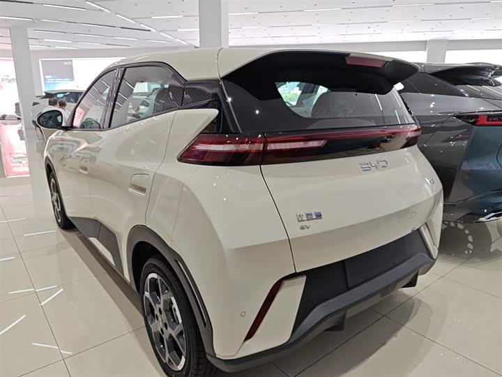 Фото 5 - BYD Seagull