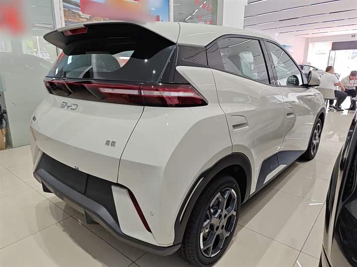 Фото 7 - BYD Seagull