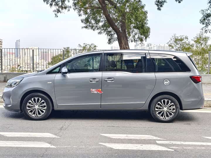 Фото 4 - Buick GL8 ES