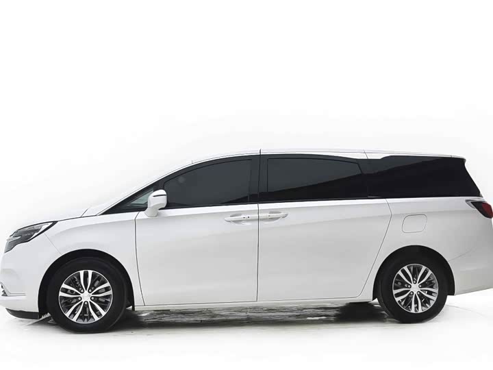 Фото 4 - Buick GL8 ES