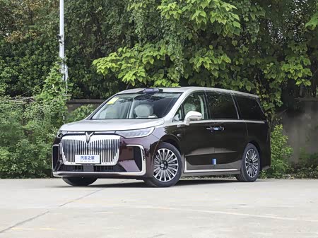 Фото 1 - Voyah Dream