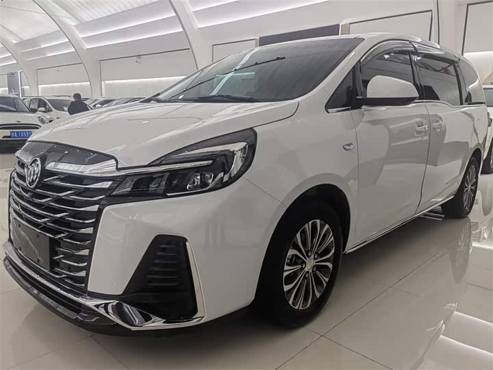 Фото 1 - Buick GL8 ES