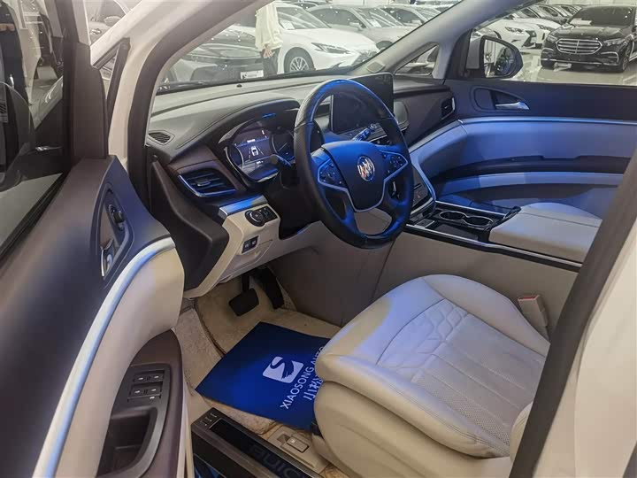 Фото 9 - Buick GL8 ES