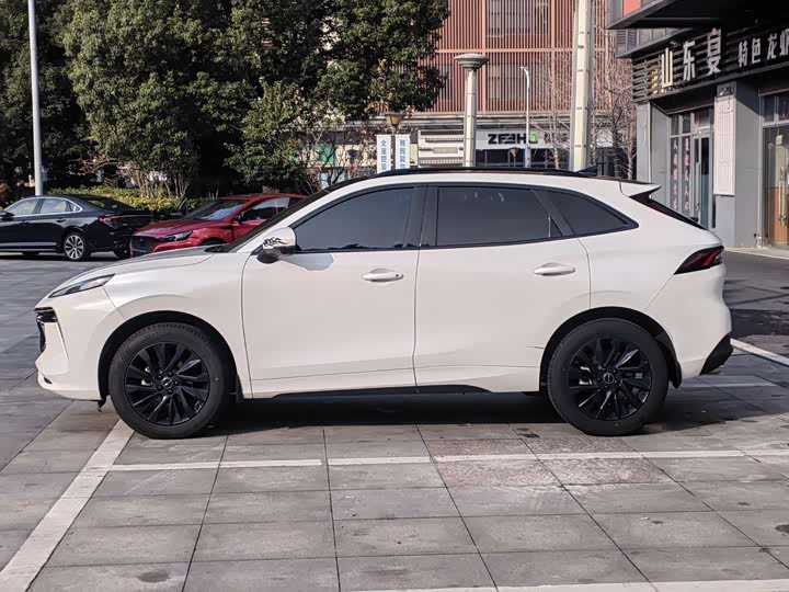 Фото 4 - Dongfeng Forthing T5 EVO