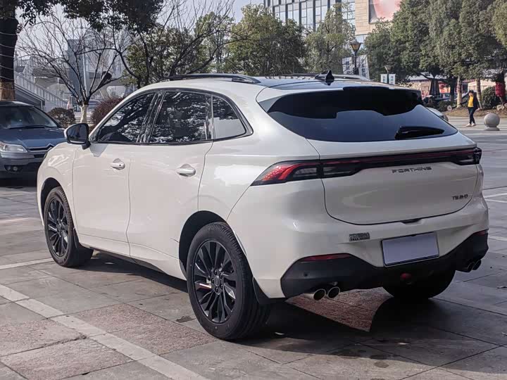 Фото 6 - Dongfeng Forthing T5 EVO