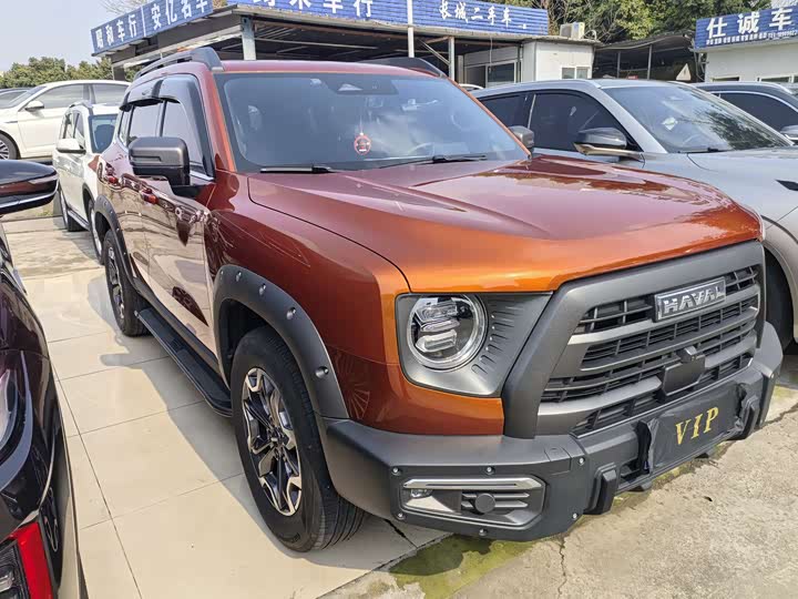 Фото 3 - Haval Dargo