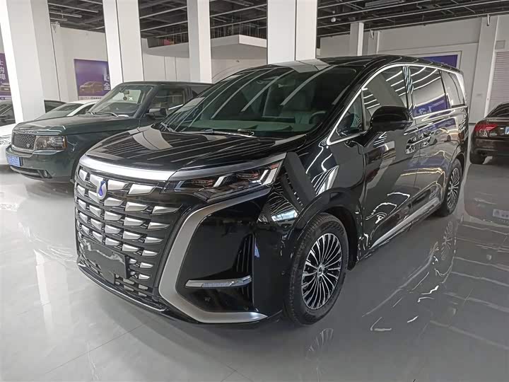 Фото 2 - Denza D9