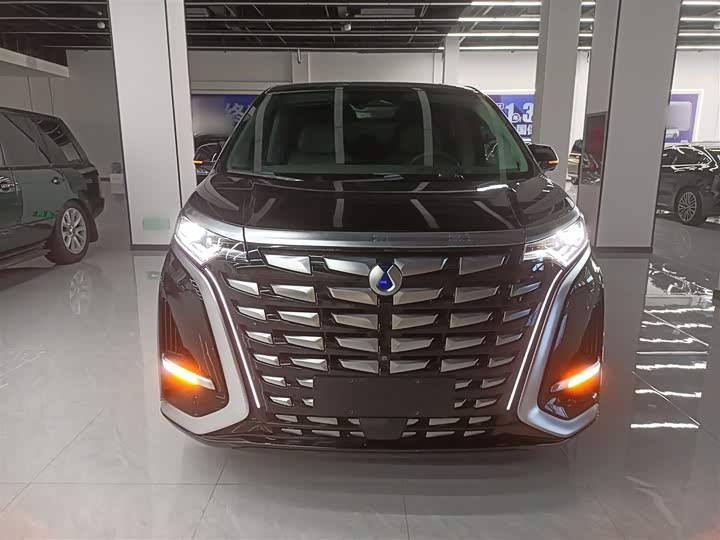 Фото 3 - Denza D9