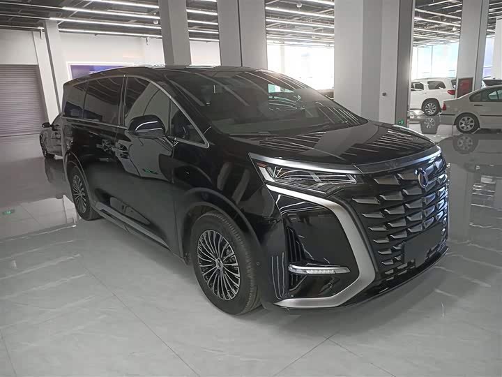 Фото 4 - Denza D9