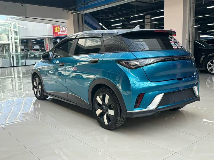 Фото 7 - BYD Dolphin