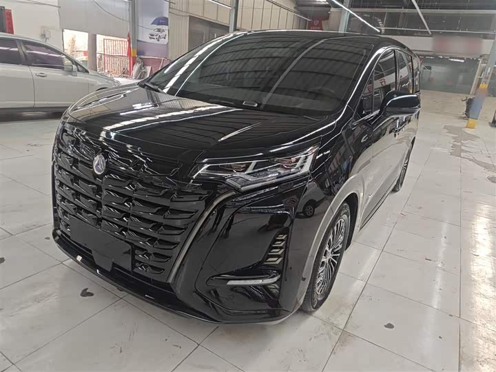 Фото 1 - Denza D9