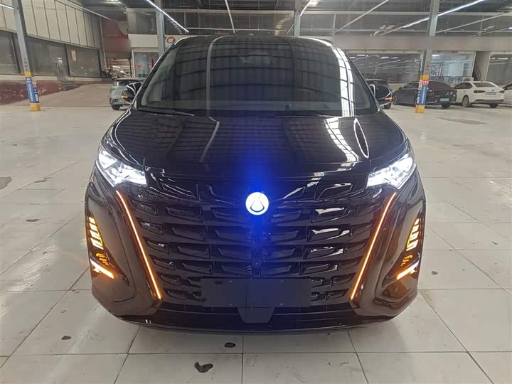 Фото 3 - Denza D9