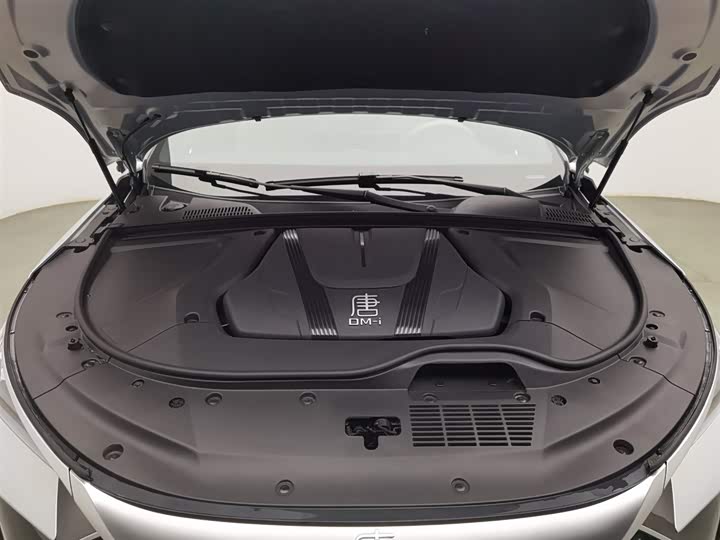 Фото 6 - BYD Tang Hybrid/EV