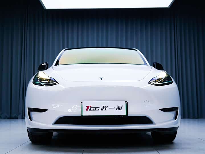 Фото 2 - Tesla Model Y