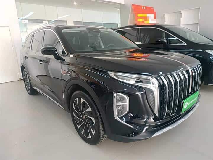 Фото 4 - Hongqi HS7 Hybrid