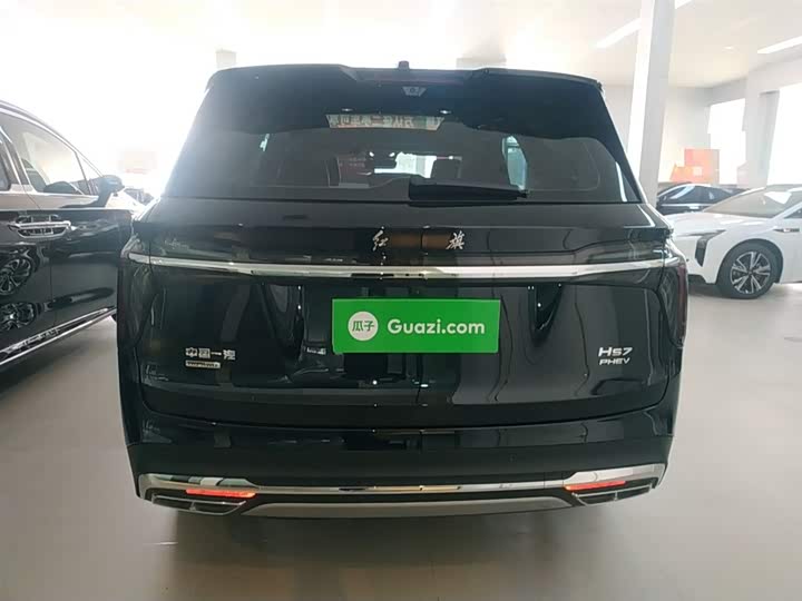Фото 6 - Hongqi HS7 Hybrid