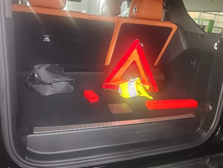 Фото 4 - Tank 700 Hybrid